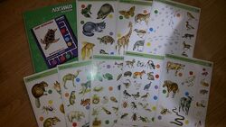 #3: животные