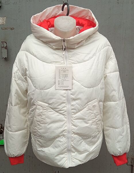 Жіноча демісезонна куртка S, M, L, XL - 276