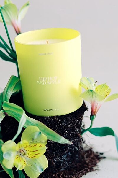 #9: Zara 550 грн.