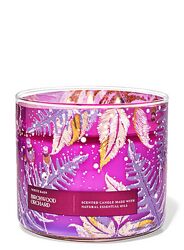 Большая свеча Birchwood Orchard Bath and Body Works 