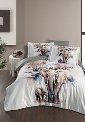 #10: safari