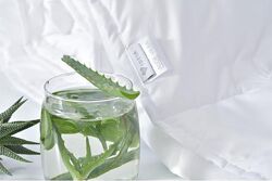 #5: Aloe Vera