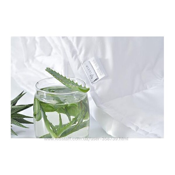 #5: Aloe Vera