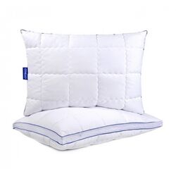 #5: Clima Aria