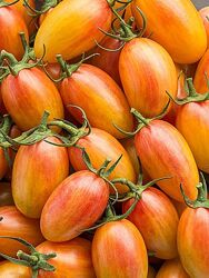 Сортове насіння томату Рум&acuteяний тигр, Blush