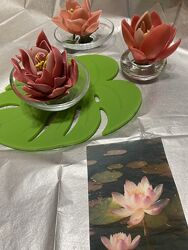 #4: Лотоси-натур.віск