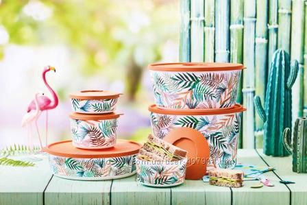 Коллекция  Иллюмина