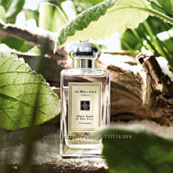 #5: Wood Sage & Sea Salt