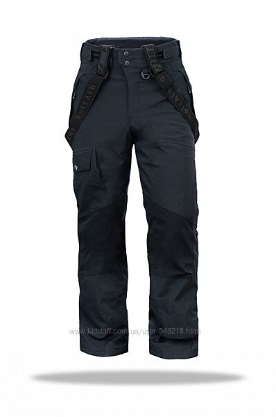 Горнолыжные брюки мужские Freever WF 21692 серые черные синие