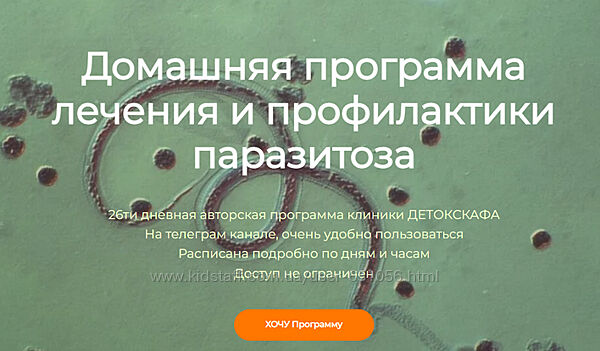 Домашняя программа лечения и профилактики паразитоза Игорь Кауфман