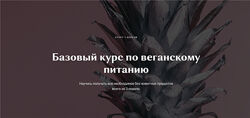 Базовый курс по веганскому питанию Настя Лисица
