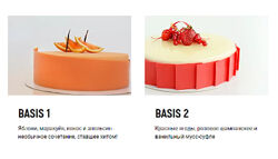 Все серии уроков Basis Инна Басова