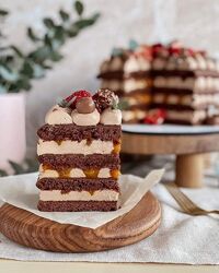 Отрытый шоколадный медовик yanni. bakery