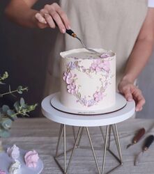 Мастер-класс по росписи тортов murlyka cake