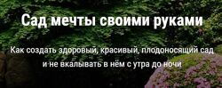 Сад мечты своими руками Дмитрий Звонка