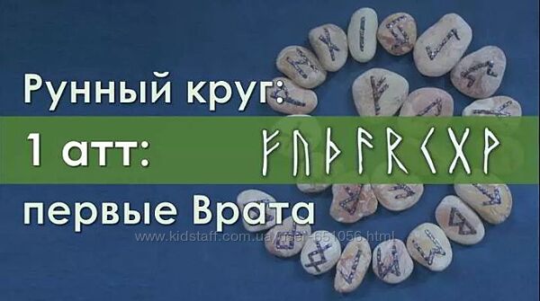 12 разных Ольга Поляева Владимир Поляев Керебономата