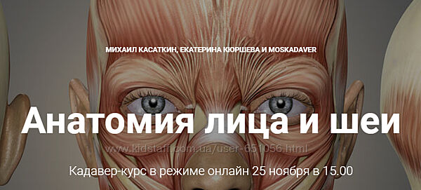 Анатомия лица и шеи Михаил Касаткин Екатерина Кюршева