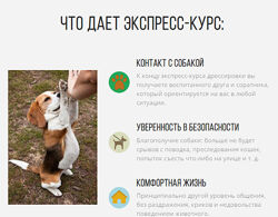 Воспитанная собака за 3 недели Антонина Зимарева