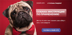 Собака инструкция по применению Антонина Зимарева