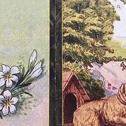 Ленорман. Все 12 курсов. Полное обучение КоЛена