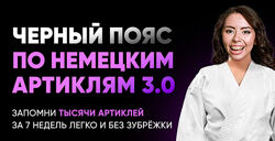 Черный пояс по немецким артиклям 3.0 Елена Удалова