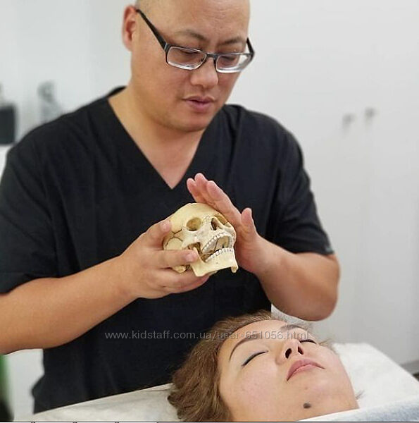 Виталий Ким 3 уровня Семинары по Остеопластике Мануальное моделирование