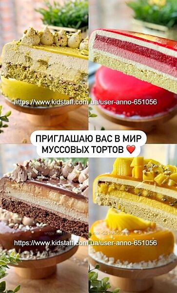 Курс по муссовым тортам Расширенный Александра Шинкаренко ex pastry cook