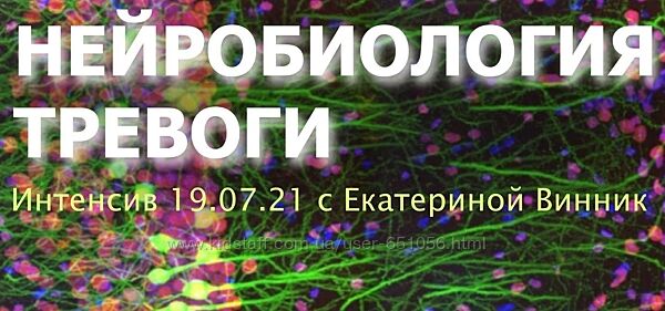Нейробиология тревоги Екатерина Винник