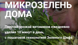 Микрозелень дома. Тариф Улучшенный Иван Воробьев Зеленый шеф