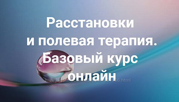 Расстановки и полевая терапия. Базовый курс Елена Веселаго