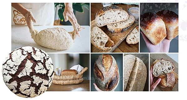 Профессиональное обучение хлебопечению Полный курс Oh my Bread Анна Кучкина