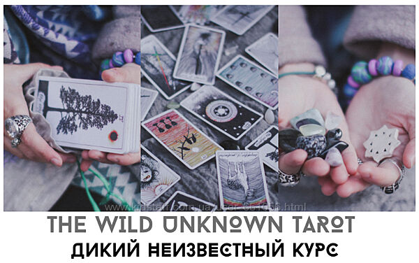 Лида Павлова 20 разных Дикое Неизвестное Таро Оракулы Расклады