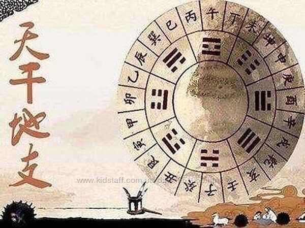 Полный курс Бацзы Светлана Джафарова