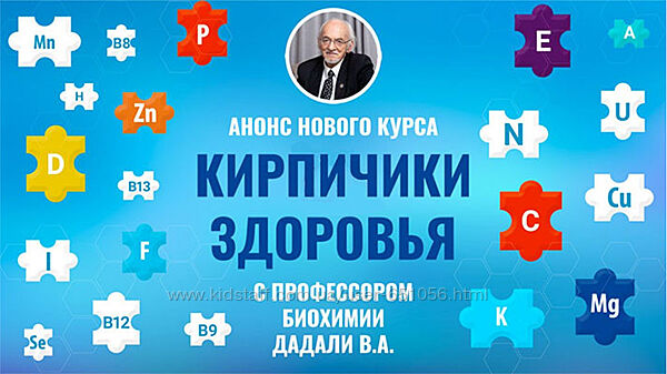 Кирпичики здоровья 2024 Владимир Дадали