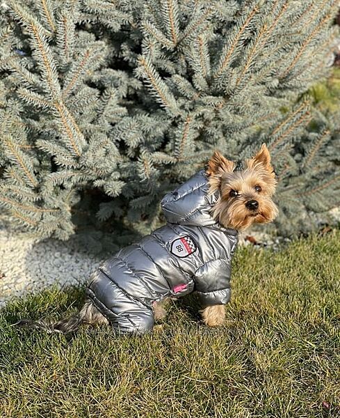 Комбинезон для собак, комбинезон зимний для собаки