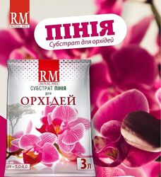 Пінія Royal Mix, 3л 