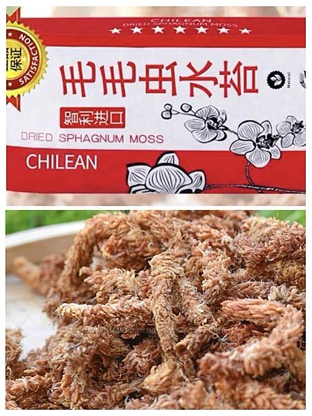 Мох Чілі преміальний