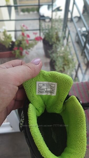 Чобітки зимові