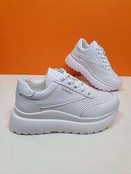 Шкіряні Кросівки Hengji 41р 220-3