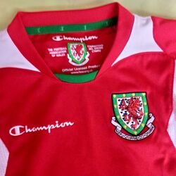 футболка детская - Champion - Wales 2/3 года
