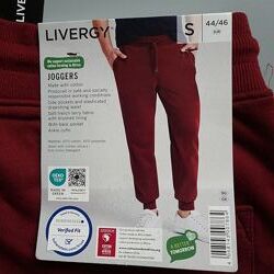 Чоловічі утеплені спортивні штани Livergy Німеччина, S