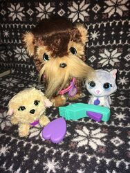 #6: наши игрушки