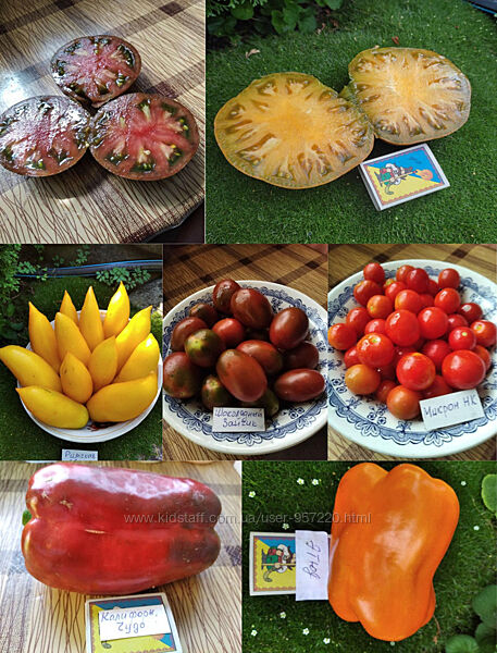 Семена томаты, перец, тыквы, баклажаны, цветы - большая коллекция