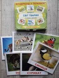 Картки Домана, Світ Тварин, мала валізка Вундеркінд з пелюшок
