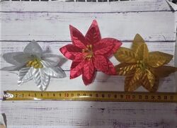 Пуансетия. Диаметр 10 см