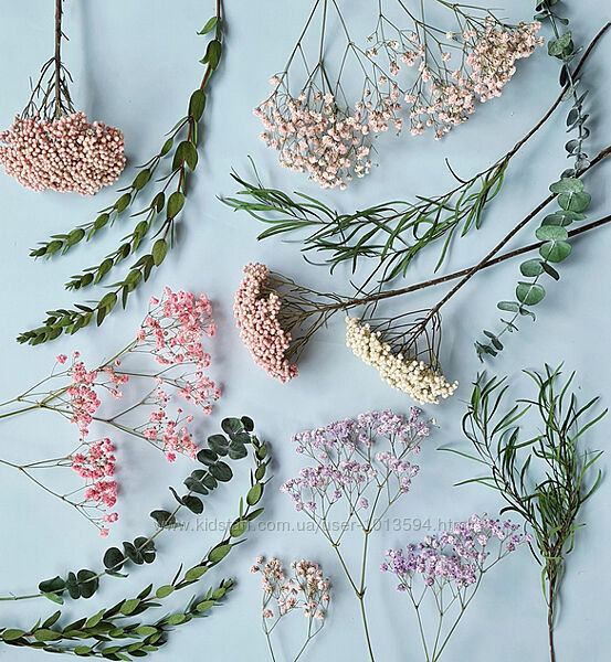 Ольга Снегова Стабилизация сухоцветов Особая флористика Новогодний Набор