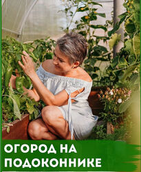 Огород на подоконнике пошаговое руководство. Premium комплект
