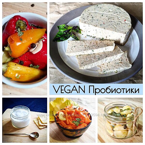 Vegan Пробиотики vegan. cards