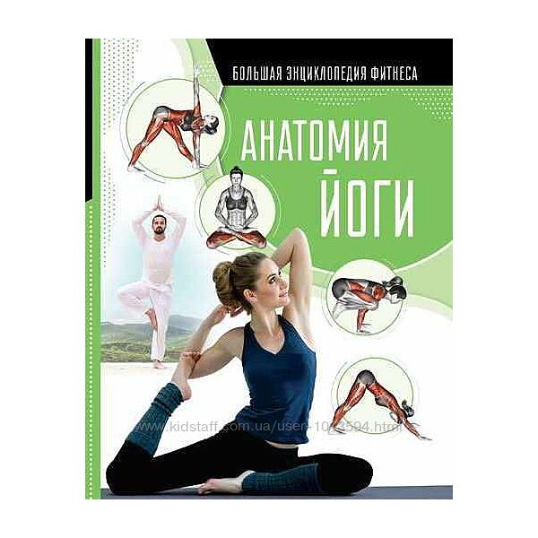 Анатомия йоги Елена Хомич, Наталья Степук