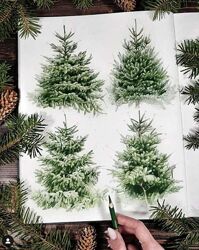 Хвоиные деревья в смешаннои технике Евгения Щеглова